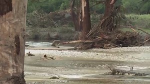 Aumentan a 80 los muertos por las inundaciones en Texas | Hoy