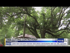 Tree cutting controversy