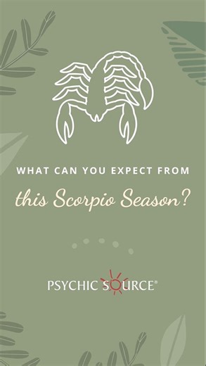 63K views · 87 reactions | Get ready to embrace the intense vibes of Scorpio Season!  Find out what energy this astrological season has in store for you. #psychicsource #psychic #astrologyreading #astrologysigns #scorpio #scorpioseason #scorpios | Psychic Source | Facebook