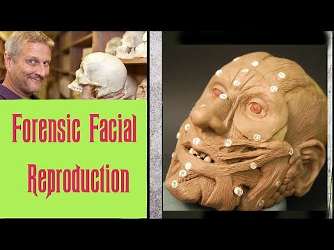 Forensic Facial Reconstruction