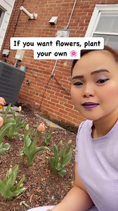 My tulips are blooming 💐 #gardening #springtime #flowers #tulips #tulipseason #adsonreels #viralreels #fbreels #reelsusa #fypシ゚viral #fypシ #FYI #pinoy | Karren Alvaran