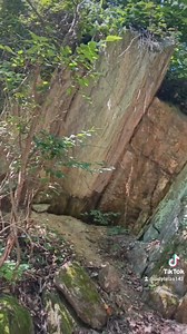 TJ Taylor 💕💞 | Brooke Rogers Taylor