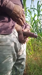 Caught cruising by big dick grandpa videos