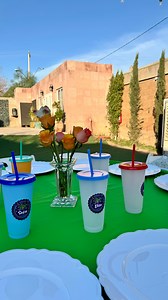Neón Pool Party ✨ Decoracion por Tabachines! | Tabachines Jardín de Eventos