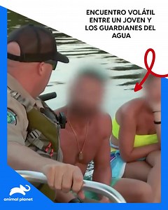 Un explosivo enfrentamiento se desata cuando dos guardianes arrestan a un joven por manejar en estado de ebriedad en el agua | Animal Planet Latinoamérica