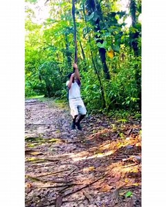 3.3K views · 61 reactions | Tarzan swing, the Gorge and Kaieteur falls. Have you visited yet? Tap to see full video. #guyana #travel #visitguyana #southamerica #tourism | Visit Guyana | Facebook