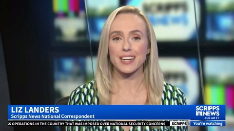 2024's Top Google Searches: Sports Dominate the Trends