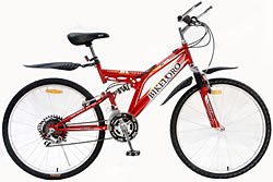 [Hot Item] Cool Mountain Bike MTB Bike (HC-L028)