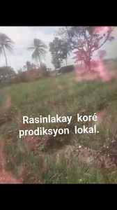 " Guelmarasinlakay koré péyizan yo ak prodiksyon nasyonal peyi a poul vansé lakay. #rasinlakaykoréproduilokal #rasinlakaysélatibonit #initéséfòslan #initédwéfòsnou #ayitibwalprandestinl #noussommehaitiens Guelma Rasin Lakay International #quelapaixreignehaitirasinlakay | Guelma Rasin Lakay International | Facebook