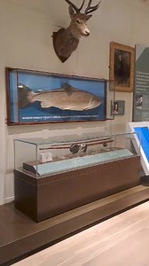 The Courier UK on Reels