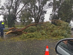 Cape of Storms | Number of claims following extreme weather in Western Cape