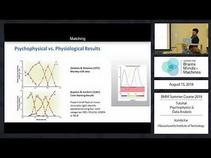 Tutorial: Psychophysics and Data Analysis