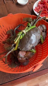 Giá hải sản Phú Yên rẻ: mua tôm, cua chỉ từ 150 cành