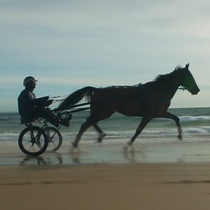 103 reactions · 18 shares | Heart wrenching and honest, Ride Above is a tale of loss and triumph – a reminder that in the face of adversity the strongest barrier to achieving our dreams is often ourselves. Now showing at the Alliance Française French Film Festival around Australia. | Madman Films | Facebook
