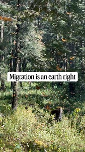 Movement is natural. Hate is not. #migration #humanright #nature | The Nature Educator