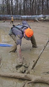 2.4M views · 4.9K reactions | This Alligator Snapping Turtle was buried deep in the mud! #snappingturtle #alligatorsnappingturtle | Ed The Pond Professor | Facebook
