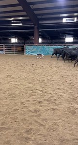Frontier Trailers & Roping Supply on Reels