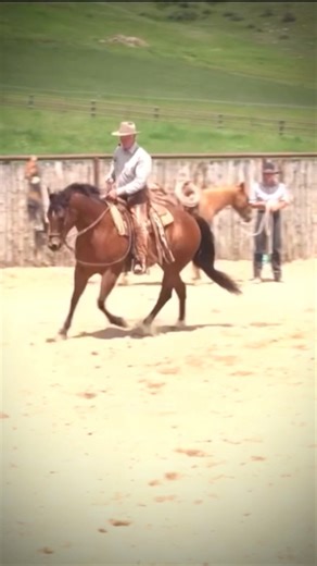 Colt class at Houlihan Ranch. See you guys again soon! Learn more at TheBuckChannel.com #BuckBrannaman #thebuckchannel #horsemanship #bridlehorse #coltstarting | The Buck Channel - Buck Brannaman Horsemanship
