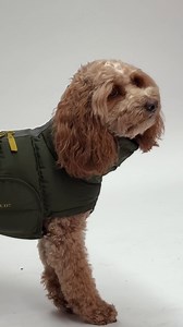 Somethings new. Watch the space!⁠ Sign up for our newsletter so you don't miss out. ⁠ #CLOUD7 #dog #doglovers #wintermantel #wintercoat #cloud7berlin | Cloud7