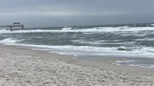 3.3K views · 43 reactions | We are flying single red flags  in...