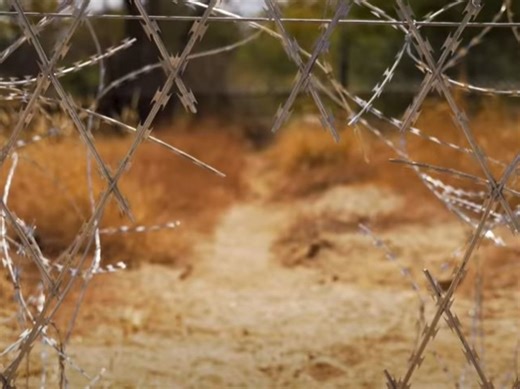 Open Season At The Beitbridge Border [Video]