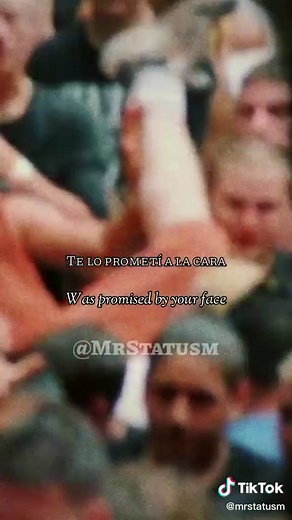 Mr Status on TikTok