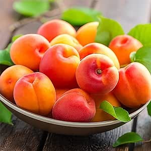 5 Manchurian Apricot (Prunus Mandshurica) Scout Apricot Seeds, Organic Non-GMO Heirloom Fruit Seeds, Grow Your Own Tasty Fruit Tree in Garden Outdoor