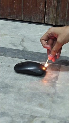 Wait… Is It Mouse 🖱️ or Mouse 🐁? 😂