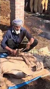 Inside the Tannery: Clean Processing of Real Cowhide 🐄✨