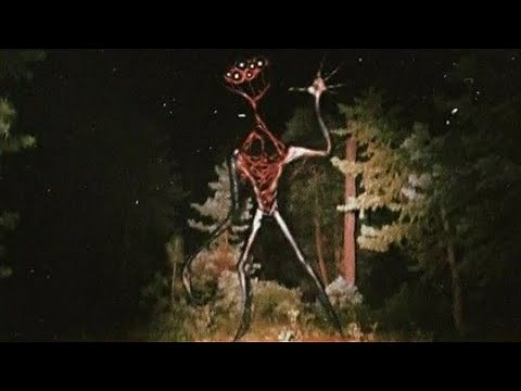 Top 5 Disturbing Cryptids Scarier Than Skinwalkers