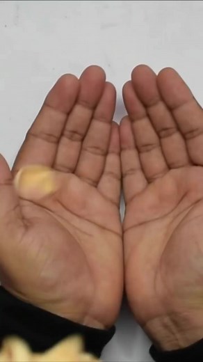 #pistachio shell #craft #reels #diy #viral #trending #decor | Craft Engineer