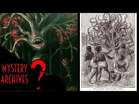 The Legend Of Man Eating Plants