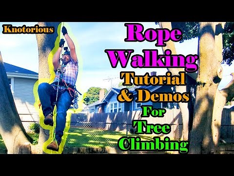 ROPE WALKING: A Complete Tutorial & Demonstration for Tree Climbers & Arborists (SRS/SRT Technique)