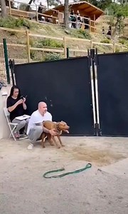 1.1M views · 23K reactions | Existují dva typy psů. ❤️ | Prima ŽENY | Facebook