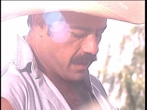 hot bear cowboy fuck troublemaker