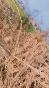 Mere Jeene Ka Tarika Alag Hai 🥰 | Pooja Priyanka Vlogs