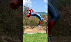 What was your favorite moment?