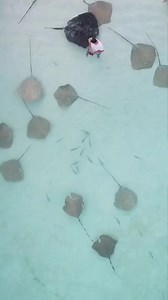 Feliz Viernes 😎 Reethi Beach Resort #robertoochoahe #ocean #maldives #friday #nature | Roberto Ochoa