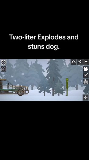Dog Stunned by Exploding Two-Liter Bottle