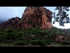 Water divining using single stick and forked stick