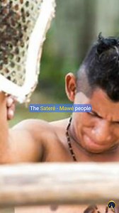 1.3K views | Explore the intense initiation rites of various indigenous tribes, including the Sateré-Mawé, Maasai, Matsë, and Mandan. These brutal ceremonies test courage, strength, and resilience, marking the transition to manhood through painful and daring challenges. #initiation #maasai #ceremony #tribe #indigenous #culture Read more: https://www.ancient-origins.net/history-ancient-traditions/initiation-rites-0016053 | Ancient Origins | Facebook