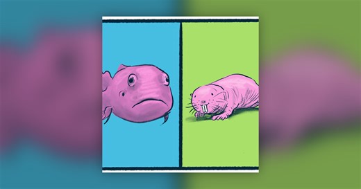 Blobfish vs. Naked Mole Rat: a wild debate - Smash Boom Best: A funny, smart debate show for kids and family