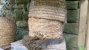 Kenilworth Castle on Reels