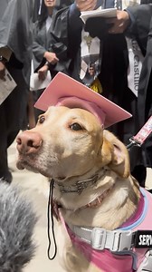 No matter what you wear, graduation looks good on you! #CStateProud #CStateAlumni | Columbus State Community College