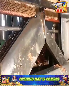 Smart machines in the food industry | SportsAbc