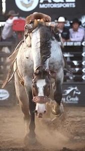 5.5K views · 2.2K reactions | RANK ROANS #saddlebronc...