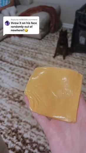 Did Mommy just throw cheese at me? OMG! #babiesoftiktok #baby #babies #babyfever #toddler #toddlers #couplegoals #couple #boyfriend #girlfriend #fypシ #cr7 #FIFAworldcup2022 #Talabh #Ep01 💔🥀🥀 #ILOVEYOU #ASMR #reelsvideo #reelsviralfb #reels #fypviralシ #reelsinstagram #fyp #couple #Relationship #viral #foryou | Lanie churco