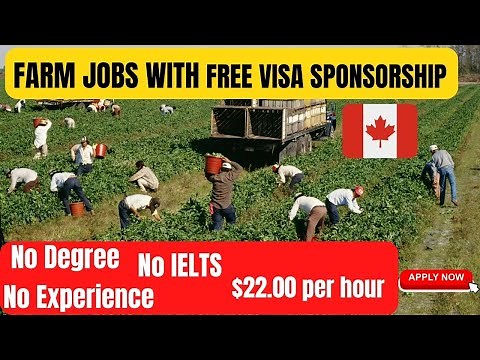 Farm Jobs in Canada with Free Visa Sponsorship | No Experience| No Education| No IELTS| Apply NOW