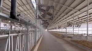 [Hot Item] Dairy Farm PE Pipeline Water Spray System for Milking Parlor and Cow Barn