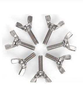 [Hot Item] China Wholesale Enpro SS304 SS316 Stainless Steel Butterfly Head Wing Screw